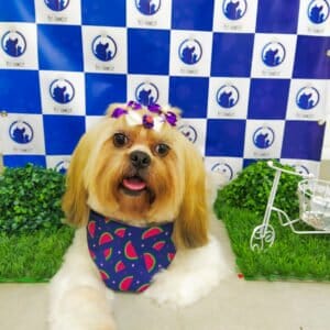 estica-animal-no-jardim-em-santo-andre